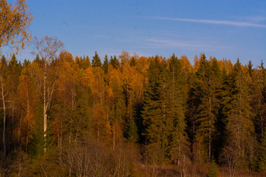 Similar image 21809047