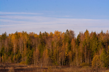 Similar image 21809048