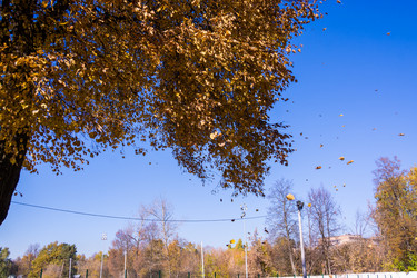 Similar image 21809049