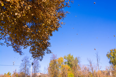 Similar image 21809050