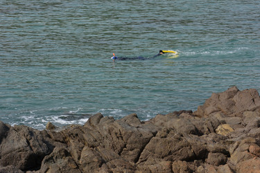 Similar image 21790045