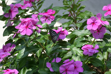 Similar image 21790046