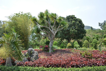 Similar image 21790050