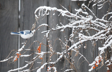 Similar image 21790052