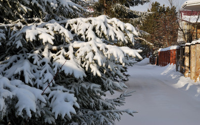 Similar image 21790054