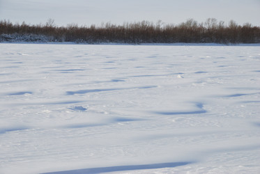 Similar image 21790056