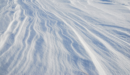 Similar image 21790058