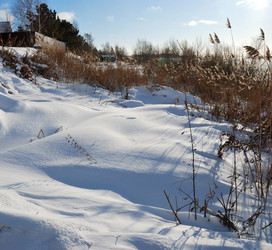 Similar image 21790059