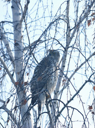 Similar image 21790060