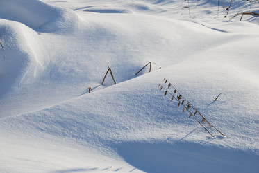 Similar image 21790061