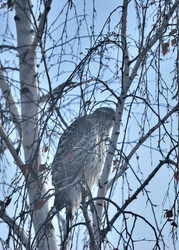 Similar image 21790062