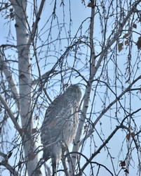 Similar image 21790063