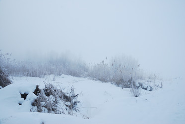 Similar image 21790065