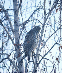 Similar image 21790066