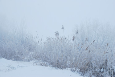 Similar image 21790067