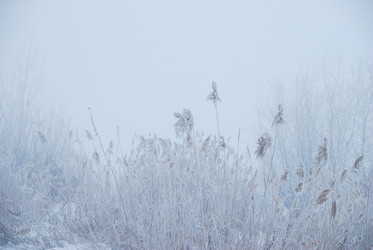 Similar image 21790068