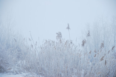 Similar image 21790069