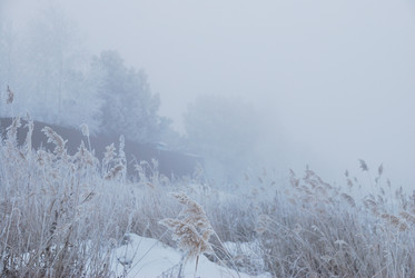 Similar image 21790072