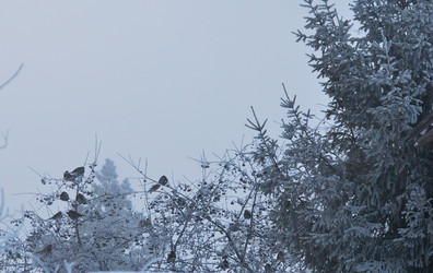 Similar image 21790080