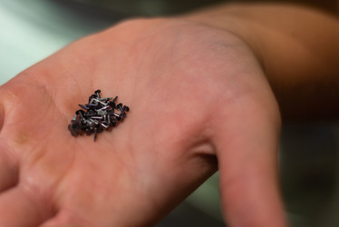 Similar image 21803444