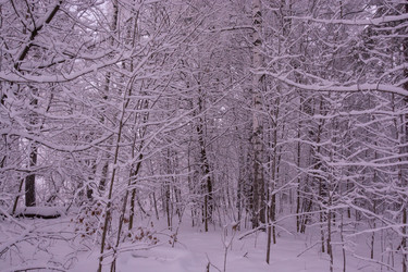 Similar image 21793591