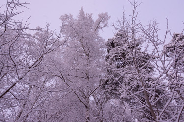 Similar image 21793592