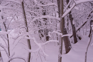 Similar image 21793593