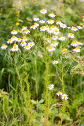 Similar image 21805804