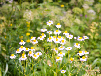 Similar image 21805805