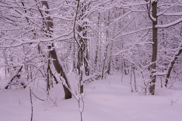 Similar image 21793595