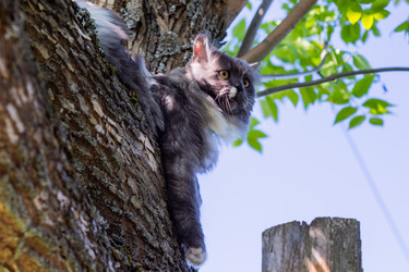 Similar image 21793597