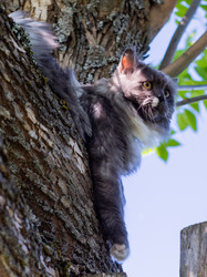 Similar image 21793598