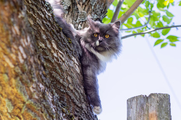 Similar image 21793599