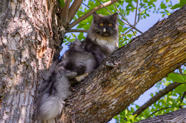 Similar image 21793601