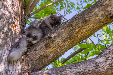 Similar image 21793602