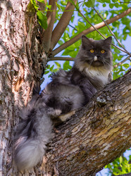 Similar image 21793603