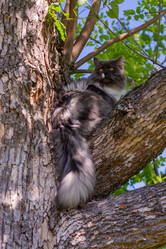 Similar image 21793605