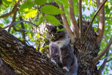 Similar image 21793606