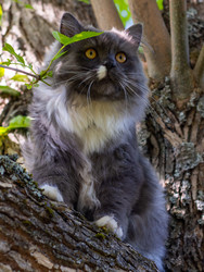 Similar image 21793607