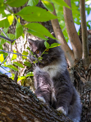 Similar image 21793608