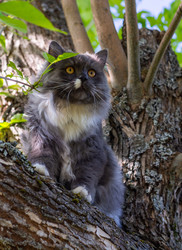 Similar image 21793609