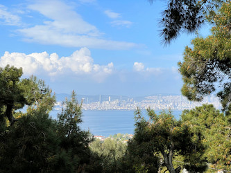 Similar image 21794151