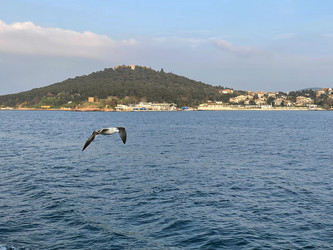 Similar image 21794152