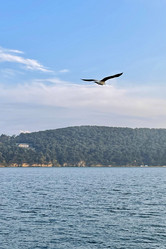 Similar image 21794154