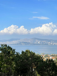 Similar image 21794157