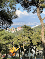 Similar image 21794161