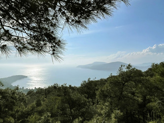 Similar image 21794165