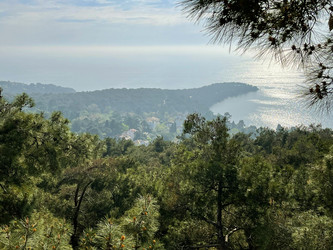 Similar image 21794167