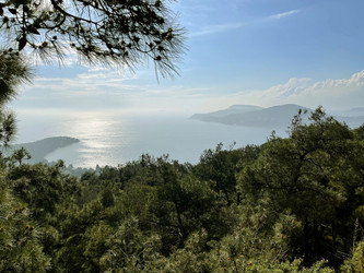 Similar image 21794169