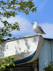 Similar image 21794171